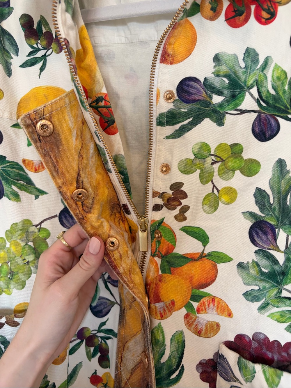 Rachel Antonoff Fruit Print Lizzie Picnic Jacket - Picture 8 of 10